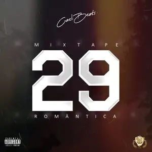 29