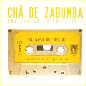 Pra Sambar um Forrozinho
