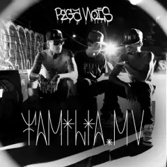 Família MV