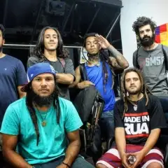 Hominídeos