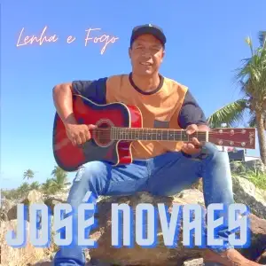 Lenha e fogo